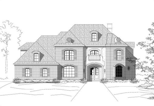 Large Image