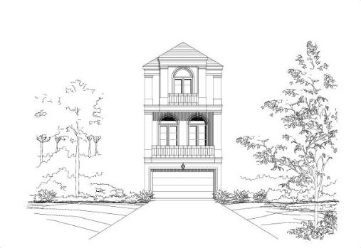 Large Image