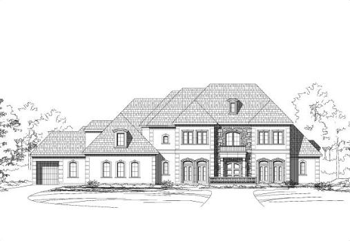 Large Image