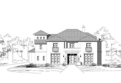 Large Image