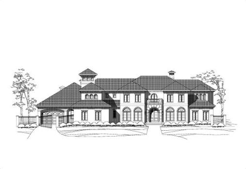 Large Image