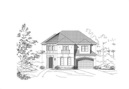 Large Image