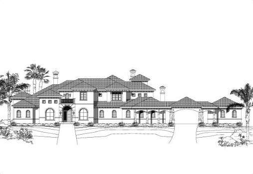 Large Image