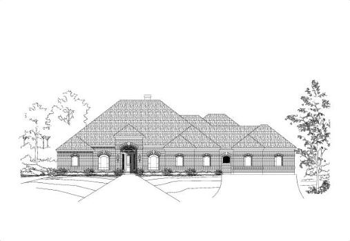 Large Image