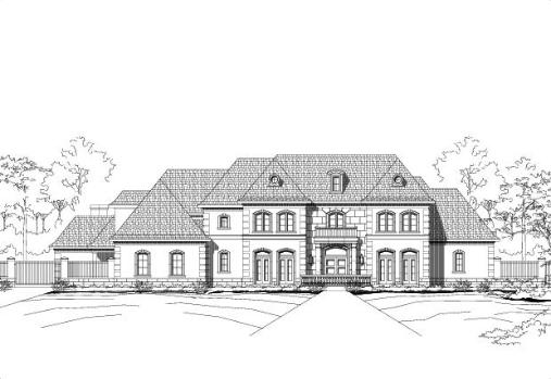 Large Image