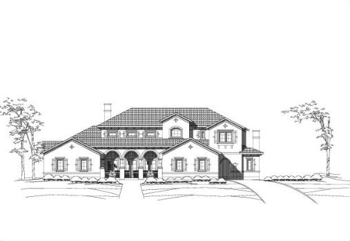 Large Image