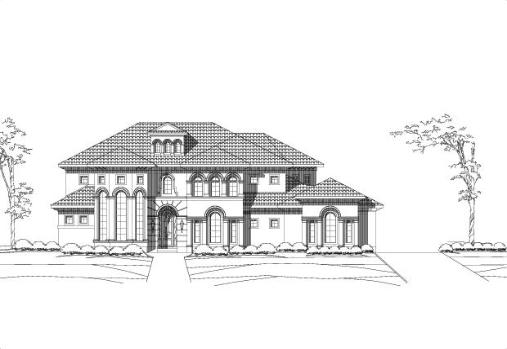 Large Image