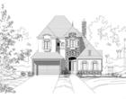 Elevation