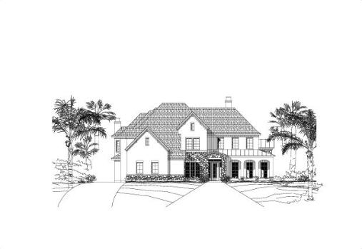 Large Image