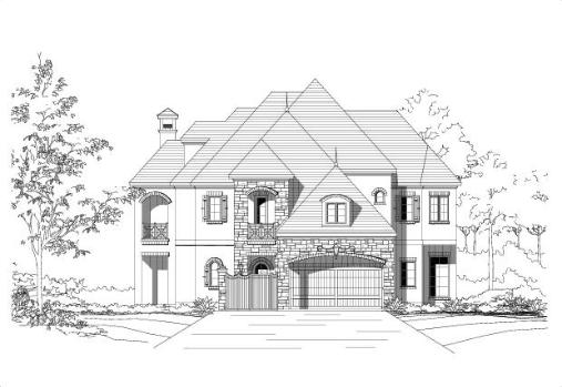 Large Image