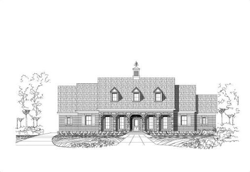 Large Image