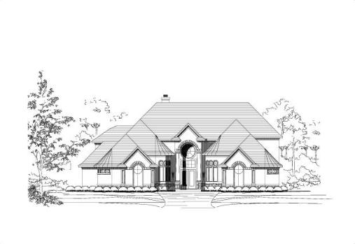 Large Image