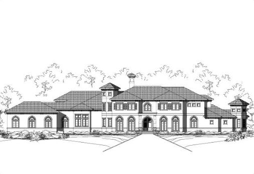 Large Image