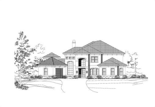 Large Image