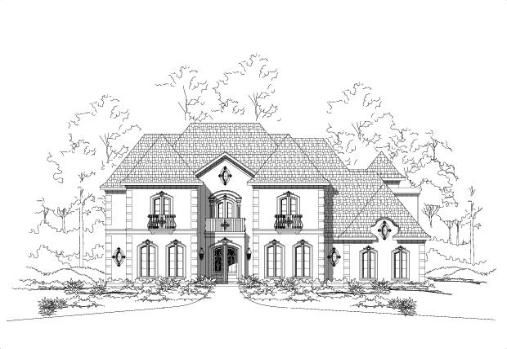 Large Image