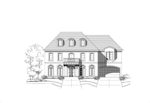 Large Image