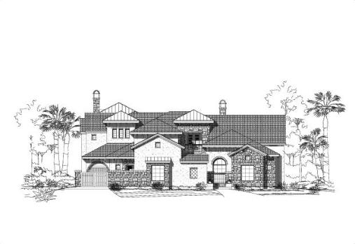 Large Image