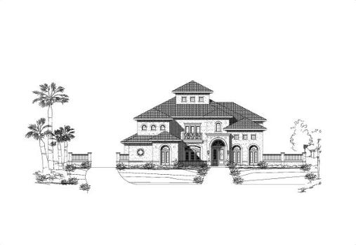 Large Image