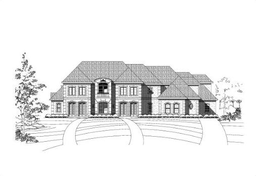 Large Image