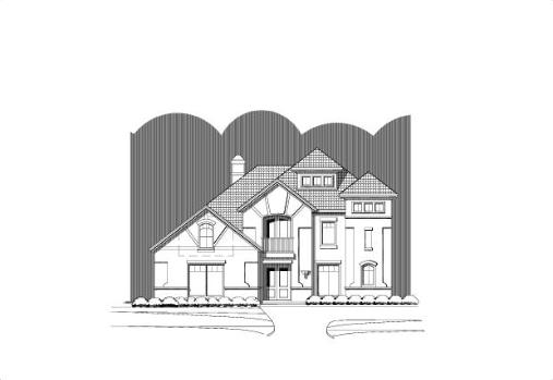 Large Image
