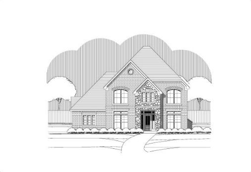 Large Image