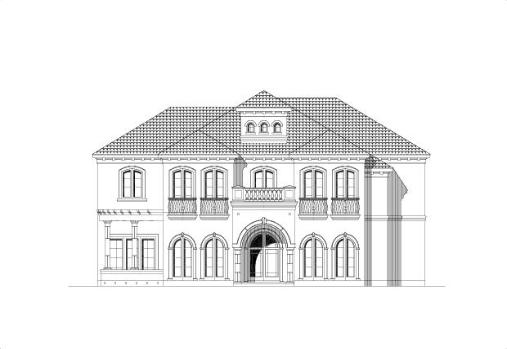 Large Image