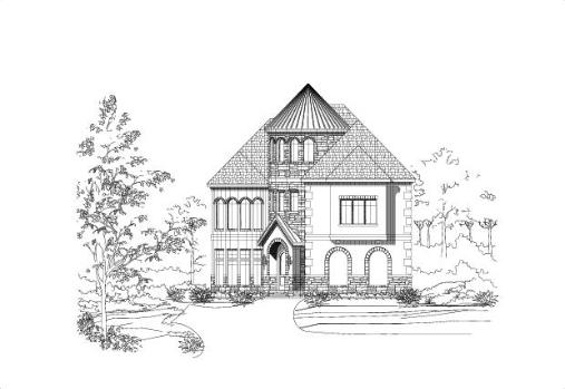 Large Image