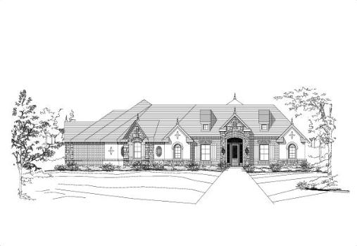 Large Image
