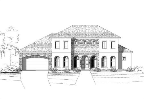 Large Image