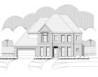 Elevation