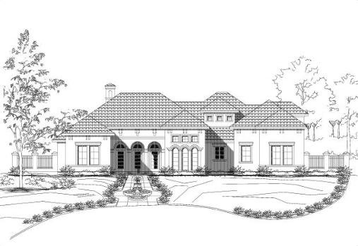 Large Image