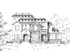 Elevation