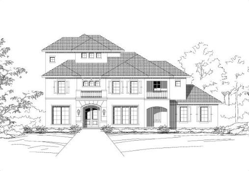 Large Image