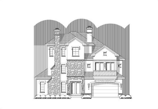 Large Image
