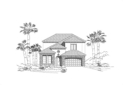 Large Image