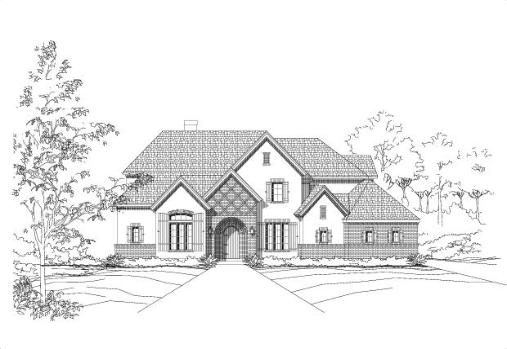 Large Image