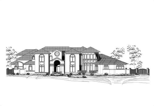 Large Image