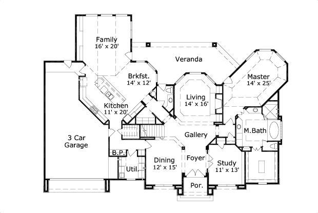 Elevation