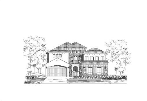 Large Image