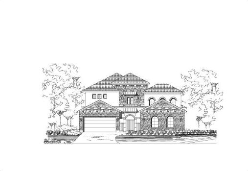 Large Image