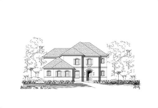 Large Image