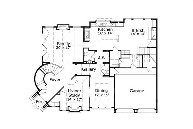 Elevation
