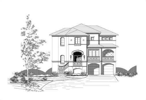 Large Image