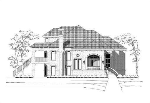 Large Image