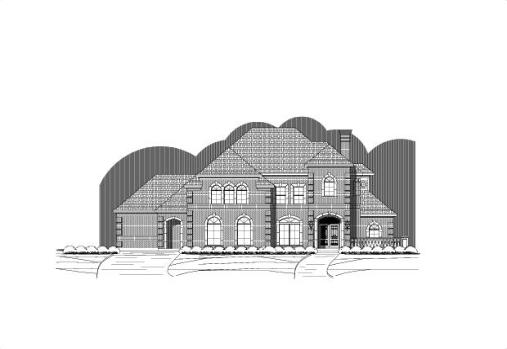 Large Image