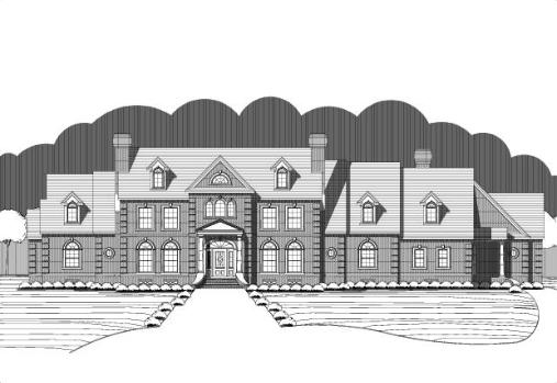 Large Image
