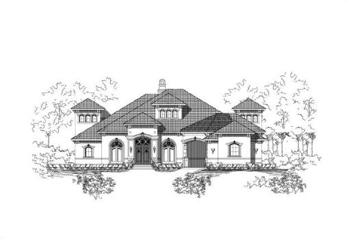 Large Image