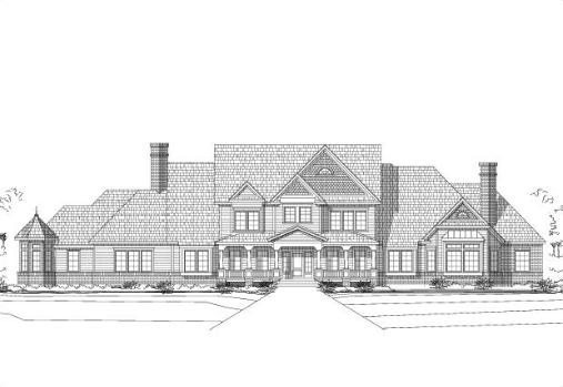 Large Image