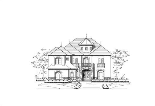 Large Image