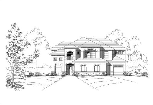 Large Image